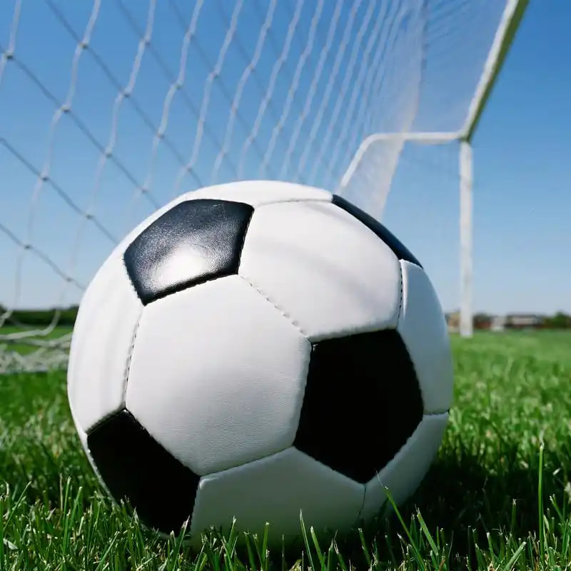 球探比分即时蓝球比分网多平台下载